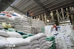 Le riz est l’un des produits d’exportation phares du Vietnam vers Cuba. Photo : VNA