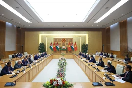 Panorama de la rencontre. Photo: VNA