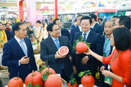 Vietnam en couleurs : immersion à la Foire du Printemps 2026
