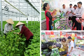 Le secteur agricole continue de se développer de manière exhaustive, la valeur de la production agricole de haute technologie représentant plus de 30% de l'ensemble du secteur de la province de Bac Ninh. Photo: qdnd.vn