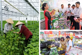 Le secteur agricole continue de se développer de manière exhaustive, la valeur de la production agricole de haute technologie représentant plus de 30% de l'ensemble du secteur de la province de Bac Ninh. Photo: qdnd.vn