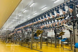 Une chaîne de production de pointe à l’intérieur d’une unité de transformation avicole. Photo: VNA