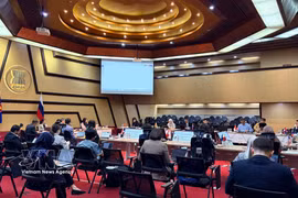 La 24e réunion du Comité mixte de coopération ASEAN–Russie. Photo: VNA