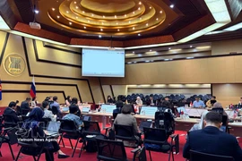 La 24e réunion du Comité mixte de coopération ASEAN–Russie. Photo: VNA