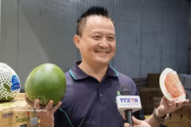 Ly Hoang Duy, président du groupe 4 Ways Fresh, importateur et distributeur de fruits vietnamiens en Australie. Photo: VNA