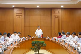 Le secrétaire général du Parti et président de la République, Tô Lâm, s'exprime lors de la réunion. Photo: VNA