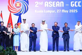 Le Premier ministre Pham Minh Chinh et les diriegants de l'ASEAN et des pays du GCC. Photo: VNA