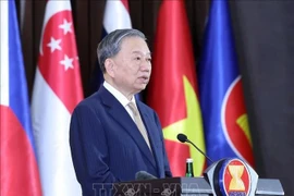 Le leader du Parti assiste à la célébration des 30 ans d’adhésion du Vietnam à l’ASEAN