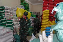 Acheminement du riz pour le distribuer à la population après les inondations. Photo: VNA