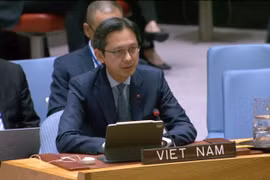 L’ambassadeur Dô Hung Viêt, chef de la Mission permanente du Vietnam auprès de l’ONU. Photo: VNA