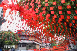 Une rue de Hanoï parée de rouge avec les drapeaux nationaux à l'approche de la Fête nationale. Photo: VNA