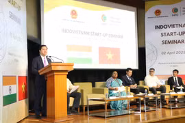 L’ambassadeur Nguyên Thanh Hai s'exprime lors de l'atelier. Photo: VNA