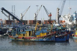 Des navires de pêche au port de Quang Ngai. Photo: VNA