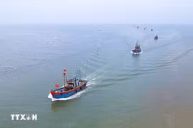 Les bateaux de pêche de la commune de Ngoc Bich, province de nghê An. Photo: VNA