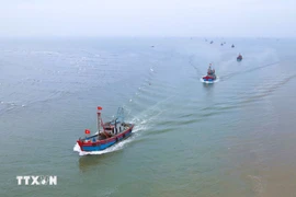 Les bateaux de pêche de la commune de Ngoc Bich, province de nghê An. Photo: VNA