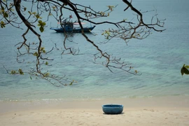 Son Cha au nord de Da Nang : L'éden turquoise au pied du col de Hai Van