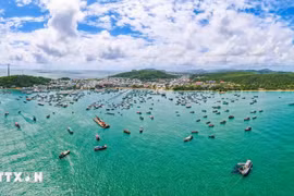La province d’An Giang (Sud) poursuit des mesures rigoureuses dans sa lutte contre la pêche illicite, non déclarée et non réglementée (INN). Photo: VNA