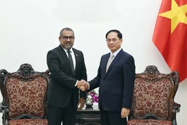 Le vice-Premier ministre Bui Thanh Son (droite) et le ministre maldivien des Affaires étrangères Abdulla Khaleel. Photo: VNA