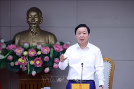 Le vice-Premier ministre Trân Hông Ha s'exprime lors de la réunion. Photo: VNA