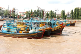 Lâm Dông intensifie la régularisation de sa flotte de pêche. Photo: VNA