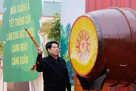 Le chef de l’Etat assiste à la Fête de plantation d'arbres de printemps à Lang Son. Photo: VNA