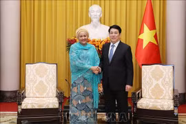 Le président Luong Cuong reçoit la secrétaire générale adjointe de l'ONU, Amina Mohammed. Photo: VNA