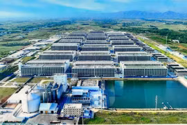Modèle d'élevage porcin dans des bâtiments. Photo: tuoitre.vn