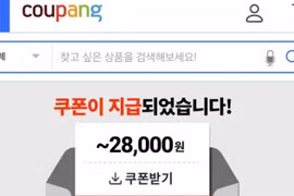 Coupang.com, l'un des géants sud-coréens de la vente en ligne, coopère activement avec l'ambassade du Vietnam pour régler l'affaire. Photo: Capture d'écran