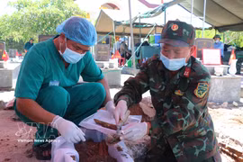 Des échantillons biologiques prélevés sur des tombes de martyrs au cimetière de Pho An, dans le quartier de Tra Cau (province de Quang Ngai). Photo : VNA