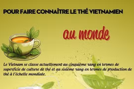 Pour faire connaître le thé vietnamien