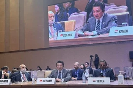 L'ambassadeur Pham Hai Anh, chef du Département des organisations internationales du ministère des Affaires étrangères, s'exprime lors de la réunion. Photo: VNA