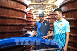 Nguyên Huynh Anh Khoa, 34 ans, directeur de la société Huynh Khoa. Photo: VNA