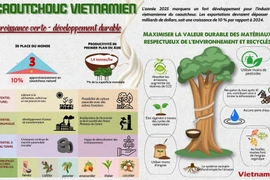 Caoutchouc vietnamien: croissance verte - développement durable 