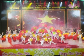 Têt du Cheval 2026 : Optimisme et détermination dans tout le pays pour surmonter les défis et bâtir un avenir radieux 