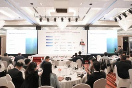8e Sommet vietnamien sur l'éolien terrestre et offshore et le stockage d'énergie (Vietnam Onshore Offshore Wind and Energy Storage Summit - VOOWESS). Photo: thethaovanhoa.vn