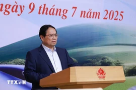 Le Premier ministre Pham Minh Chinh s'exprime lors de la réunion. Photo: VNA