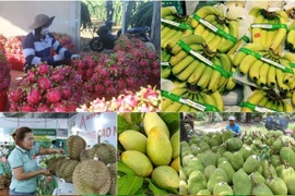 Les exportations des fruits et légumes vietnamiens ciblent 10 milliards de dollars. Photo: VNA