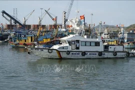 Les forces compétentes mènent les patrouilles dans le port de Quy Nhon. Photo: VNA