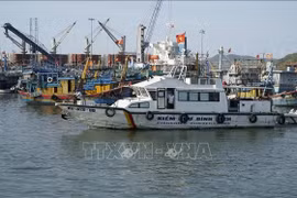 Les forces compétentes mènent les patrouilles dans le port de Quy Nhon. Photo: VNA