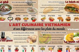 L’art culinaire vietnamien et ses différences avec les plats du monde