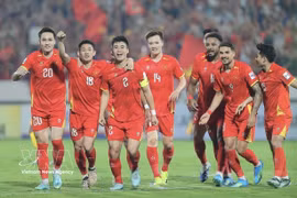 L’équipe nationale masculine du Vietnam. Photo: VNA