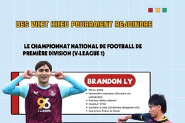 Des Viet kieu pourraient rejoindre le Championnat national de football de première division (V-League 1) 
