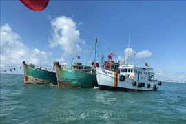 Ba Ria – Vung Tau résout 100% des cas de bateaux de pêche « à trois interdits ». Photo: VNA