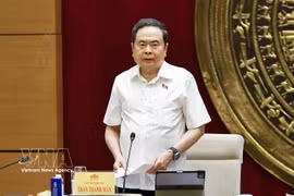 Le président de l’Assemblée nationale, Trân Thanh Mân, s'exprime lors de la réunion. Photo: VNA