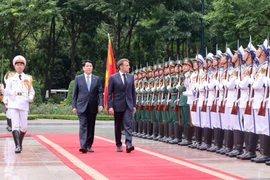 Le président Luong Cuong et son homologue français Emmanuel Macron, lors de la cérémonie d'accueil. Photo: VNA