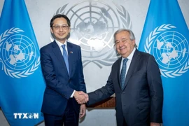 L’ambassadeur Dô Hung Viêt, chef de la Mission permanente du Vietnam auprès de l’ONU, et le secrétaire général de l'ONU, António Guterres. Photo : VNA