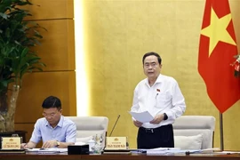 Le plus haut législateur vietnamien préside une réunion sur la révision de la Constitution de 2013. Photo: VNA