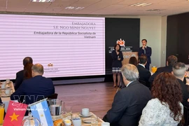 L’ambassadrice du Vietnam en Argentine, Ngo Minh Nguyet, s'exprime lors de l'événement. Photo: VNA