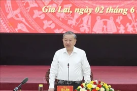 Gia Lai et Binh Dinh : vers une fusion stratégique pour un développement puissant et durable