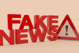 Photo d'illustration: VNA